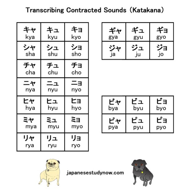 Transcribing Contracted Sounds Katakana