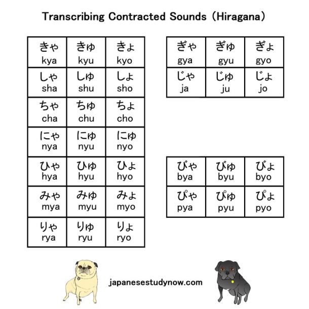 Transcribing Contracted Sounds　Hiragana